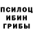 Галлюциногенные грибы прущие грибы Serg08