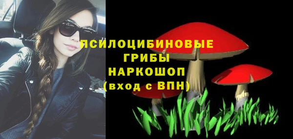 гидропоника Каменногорск