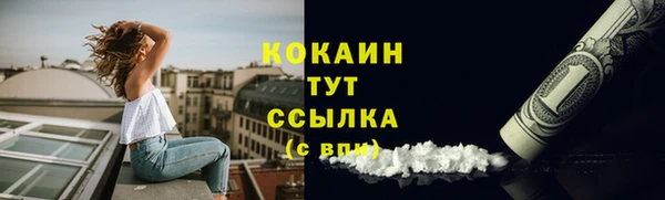 гидропоника Каменногорск