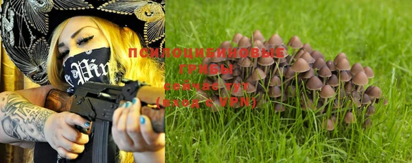 a pvp Каменка