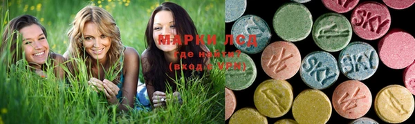 a pvp Каменка