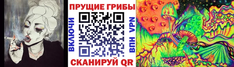 Купить Нефтекамск Псилоцибиновые грибы Cubensis
