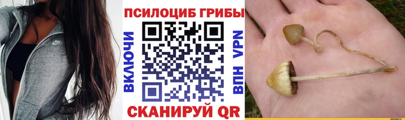 Галлюциногенные грибы Psilocybine cubensis Нефтекамск